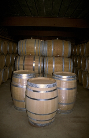 new wine barrels in a cellar