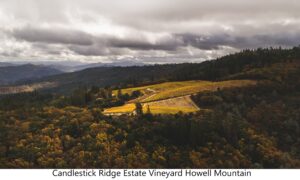 dark clouds, mountaintop vineyards are surrounded by forest