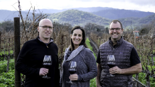 three people hold wine in a vineyard