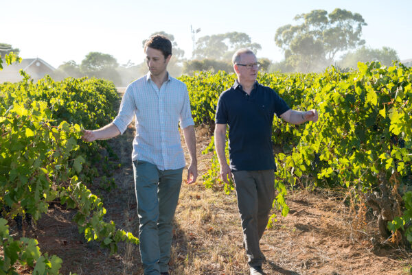 two men in a vineyard