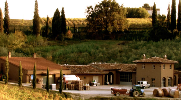 rural landscape with winery and vineyards